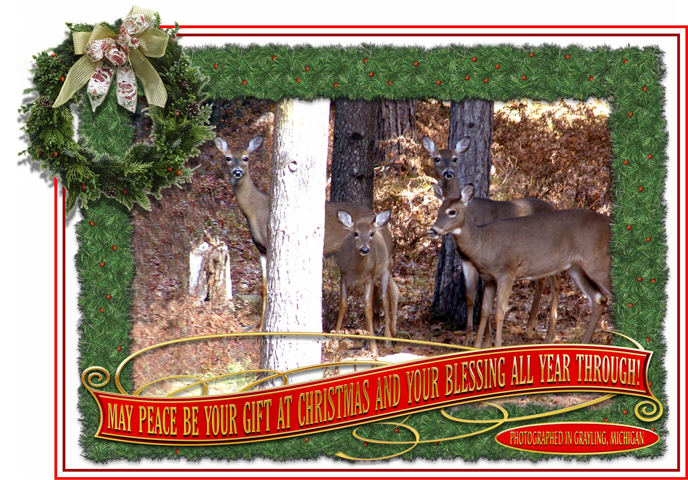 Christmas Wishes