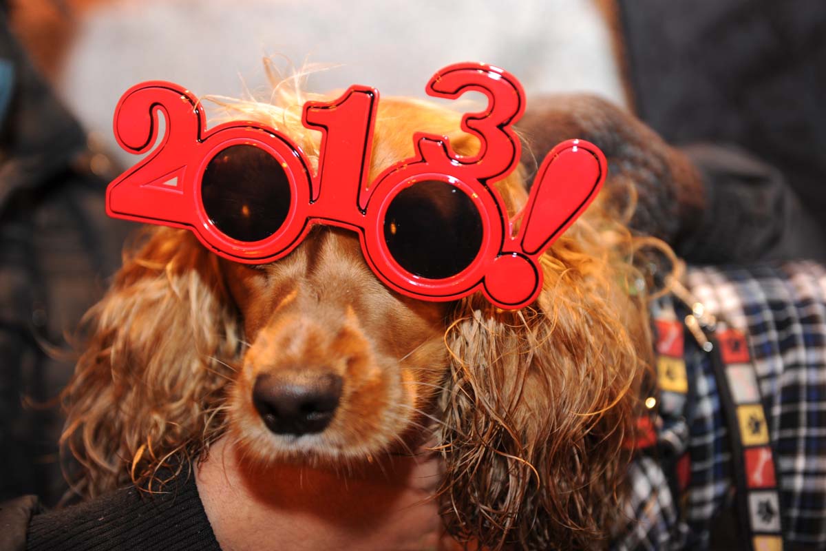 Happy 2013